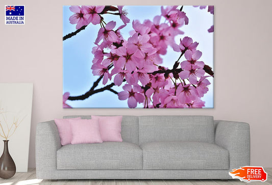 Pink Flower Tree Branch Photograph Print 100% Australian Made