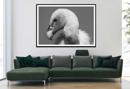 Vulture Bird B&W View Photograph Home Decor Premium Quality Poster Print Choose Your Sizes