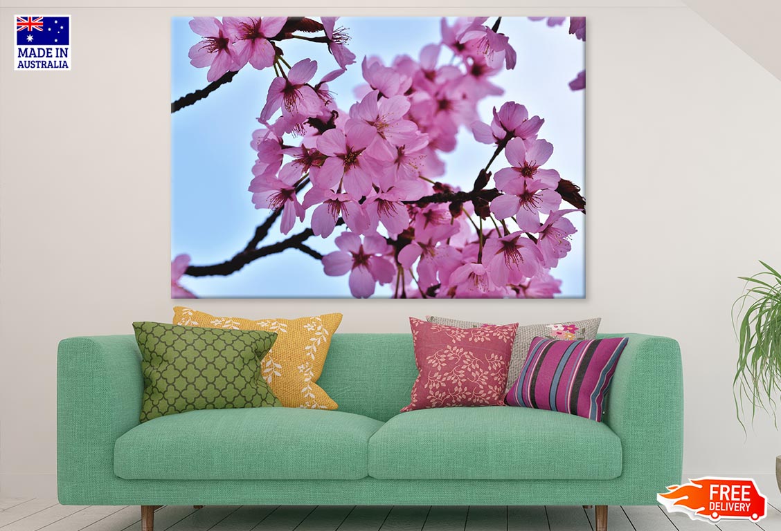 Pink Flower Tree Branch Photograph Print 100% Australian Made