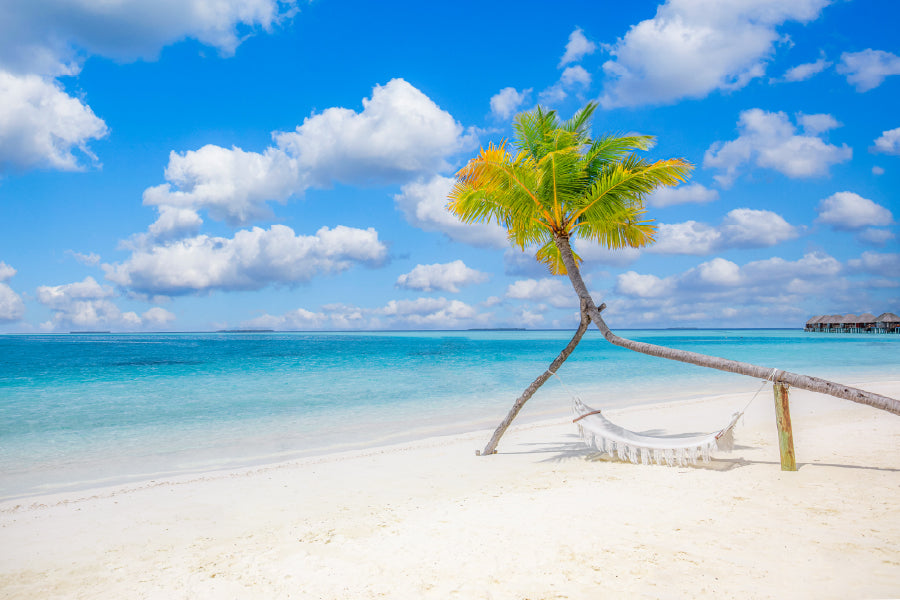Hammock on Palm Tree & Sandy Sea Photograph Home Decor Premium Quality Poster Print Choose Your Sizes