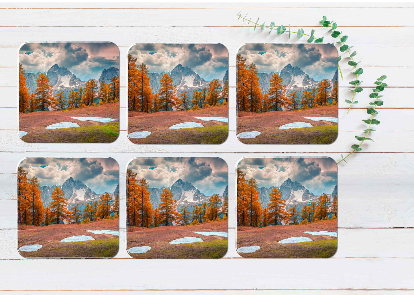 Larch Forest View Coasters Wood & Rubber - Set of 6 Coasters