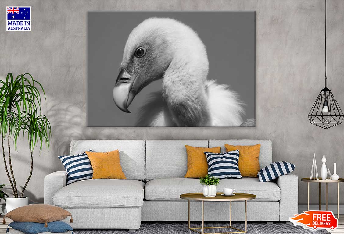 Vulture Bird B&W View Photograph Print 100% Australian Made