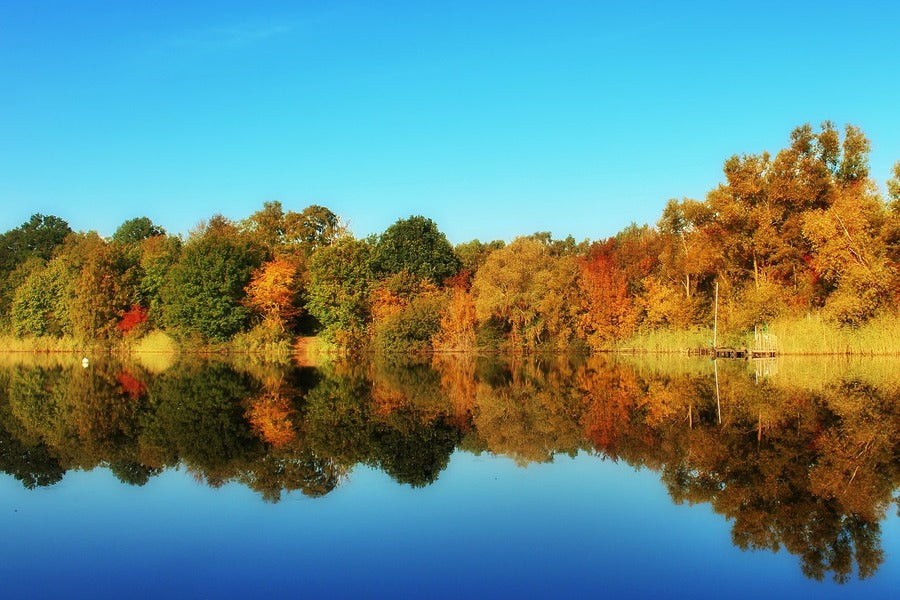 Autumn Landscape with Lake in the Forest Photograph Print 100% Australian Made