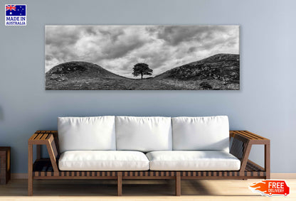 Panoramic Canvas Alone Tree Hill B&W View Photograph High Quality 100% Australian Made Wall Canvas Print Ready to Hang