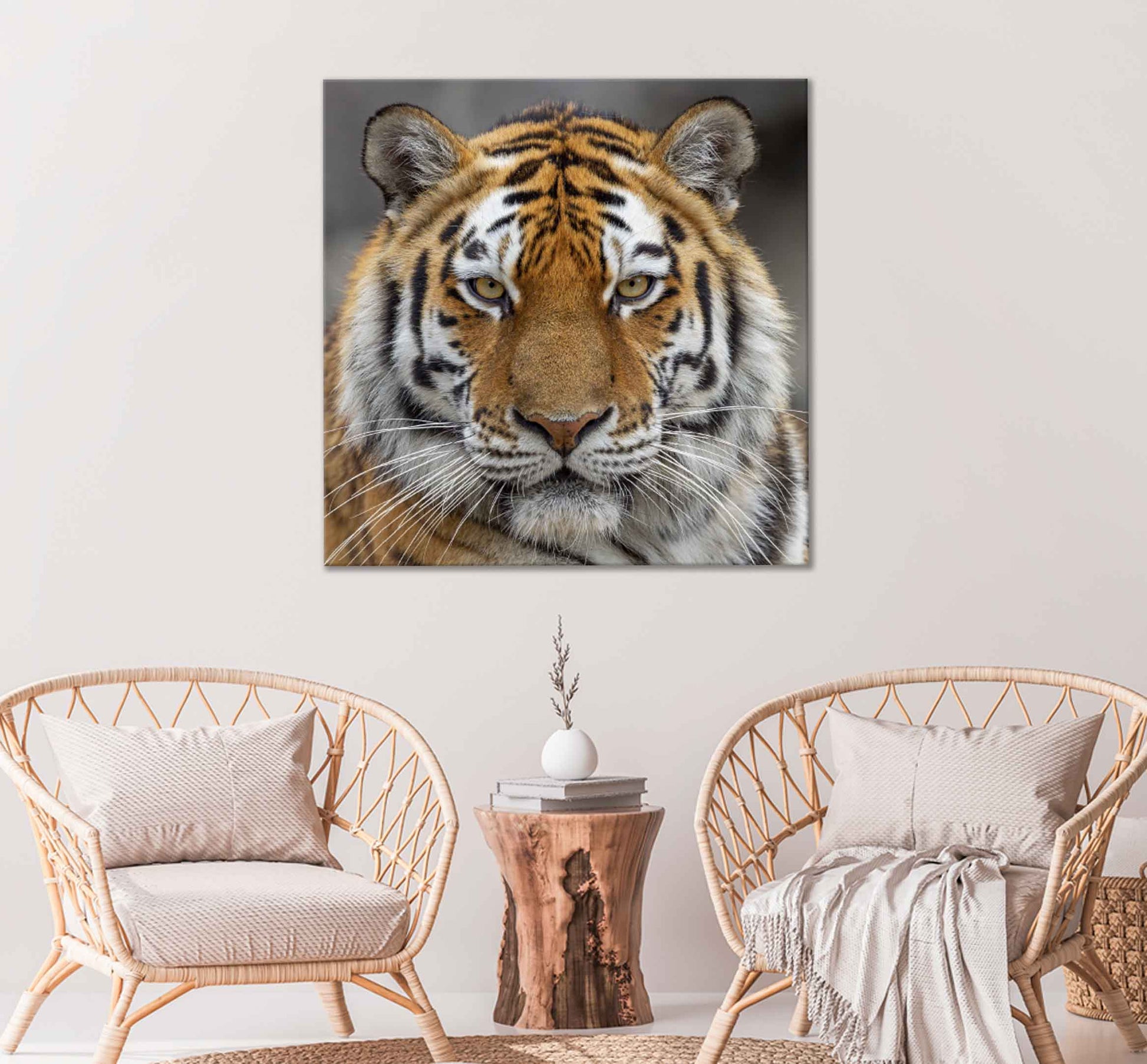 Square Canvas Tiger Face Closeup View Photograph High Quality Print 100% Australian Made