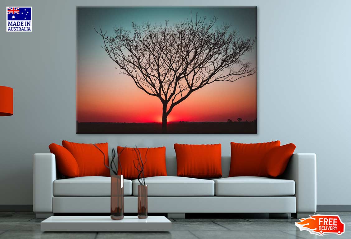 Dry Tree Sunset Photograph Print 100% Australian Made