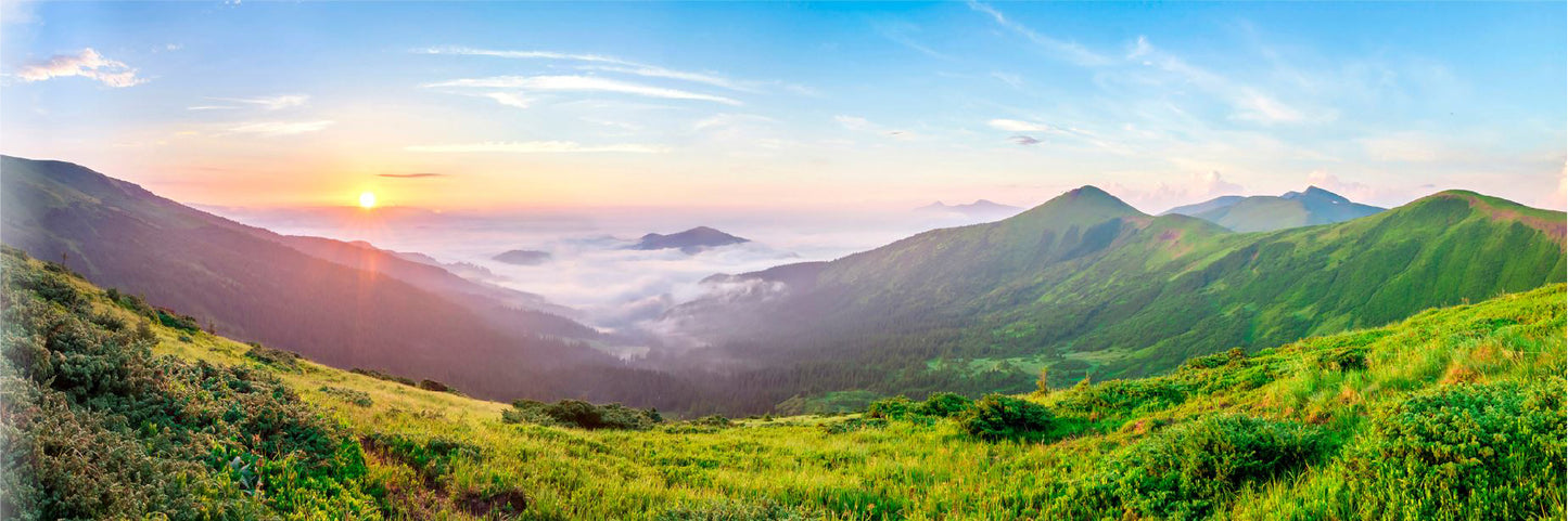 Panoramic Canvas Grass Field Sunrise View Photograph High Quality 100% Australian Made Wall Canvas Print Ready to Hang