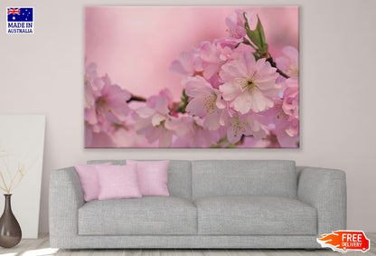 Pink Cherry Blossom Flower Closeup Photograph Print 100% Australian Made