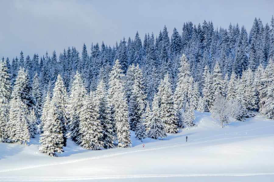 Snow Covered Pine Trees Hill View Photograph Home Decor Premium Quality Poster Print Choose Your Sizes