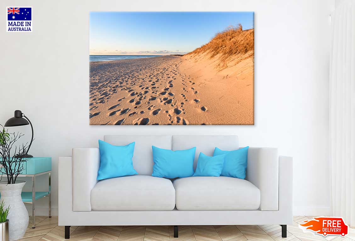 Sand Dunes at Cape Cod National View Photograph Print 100% Australian Made