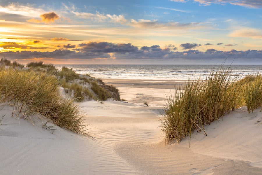 Dune near Ameland Seashore View Photograph Home Decor Premium Quality Poster Print Choose Your Sizes