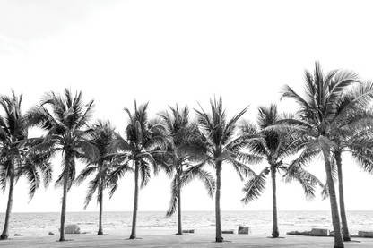 Plam Trees & Rock On Sea Sky View Print 100% Australian Made