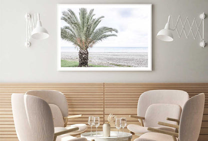 Palm Tree Near Beach View Photograph Home Decor Premium Quality Poster Print Choose Your Sizes