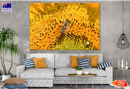 Sunflower & Bee With Macro Photograph Print 100% Australian Made