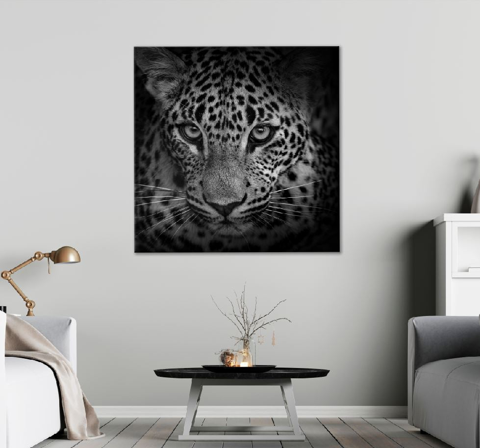 Square Canvas Leopard Portrait B&W Closeup View High Quality Print 100% Australian Made