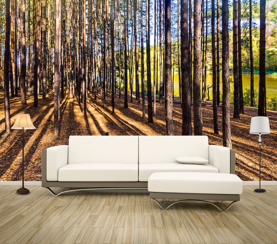 Wallpaper Murals Peel and Stick Removable Stunning Forest High Quality