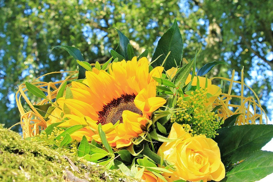 Sunflower & Yellow Color Rose Bunch Photograph Print 100% Australian Made
