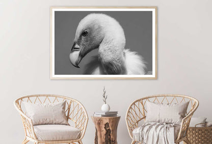 Vulture Bird B&W View Photograph Home Decor Premium Quality Poster Print Choose Your Sizes