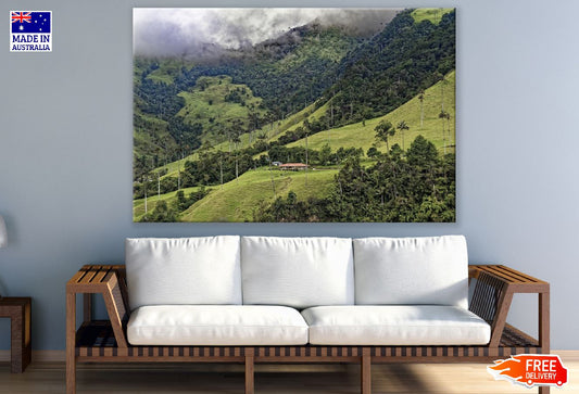 Palm Trees & Mountains View Colombia Print 100% Australian Made