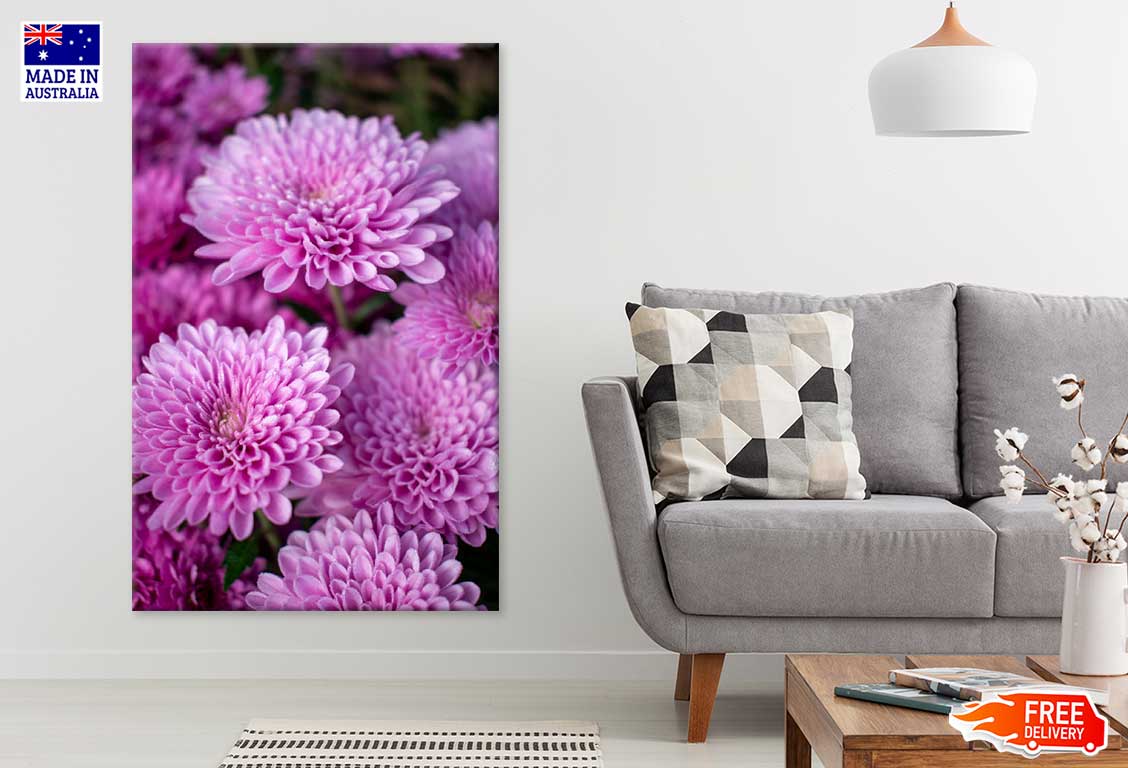 Purple Dahlia Flowers Photograph Print 100% Australian Made