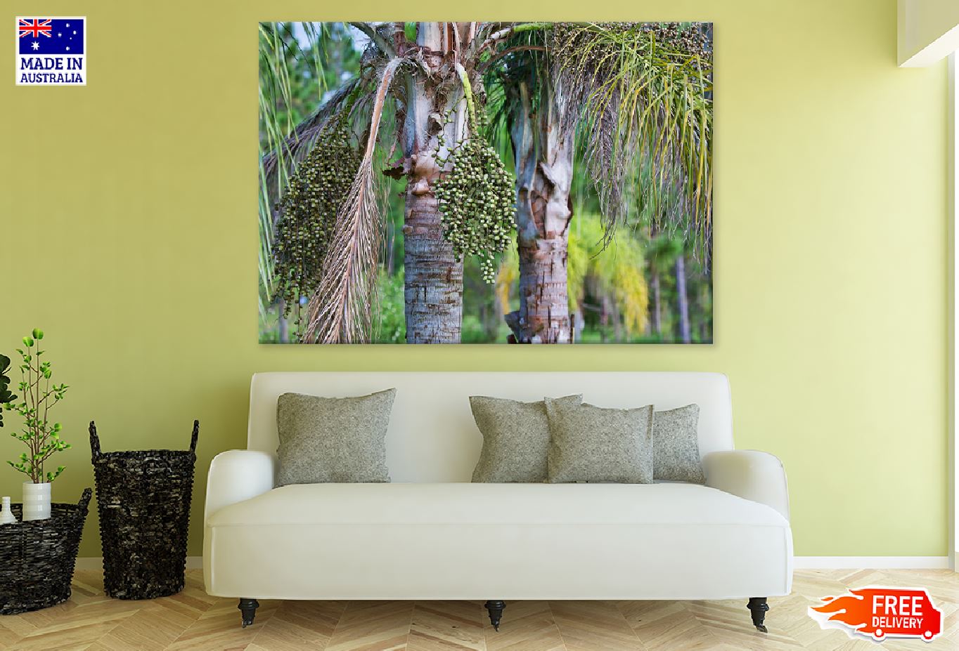 King Palm Tree with Seeds View Photograph Print 100% Australian Made