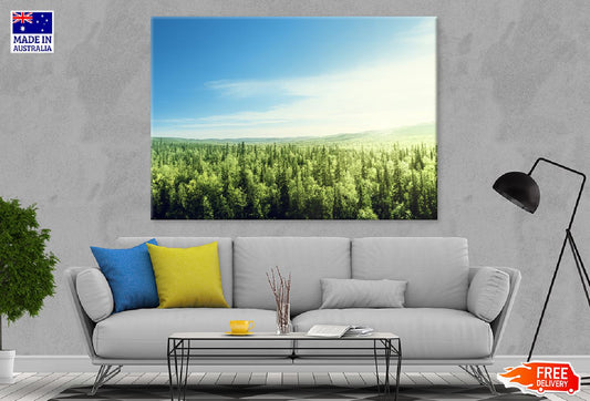 Green Forest Aerial View Photograph Print 100% Australian Made