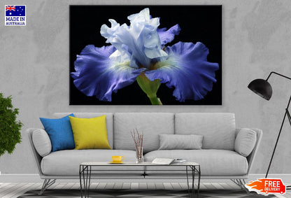 Iris Plants with Flower Photograph Print 100% Australian Made