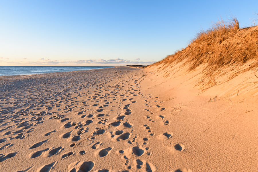 Sand Dunes at Cape Cod National View Photograph Print 100% Australian Made