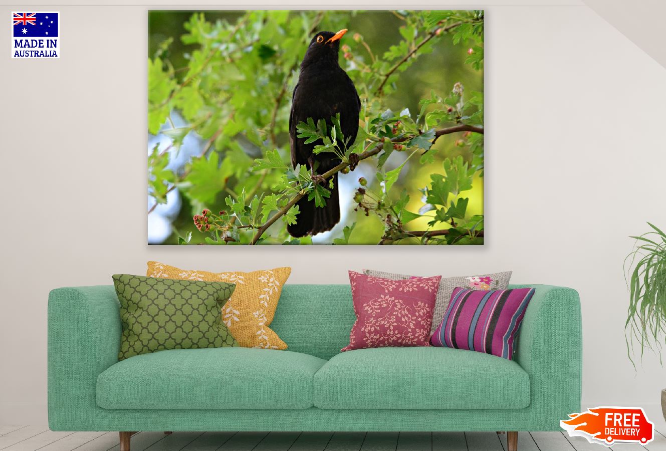 Blackbird in a Willow Tree Photograph Print 100% Australian Made