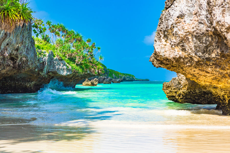 Rocky Beach with Palm Trees View Photograph Home Decor Premium Quality Poster Print Choose Your Sizes