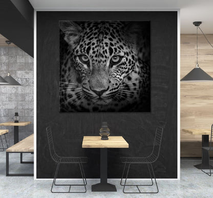 Square Canvas Leopard Portrait B&W Closeup View High Quality Print 100% Australian Made