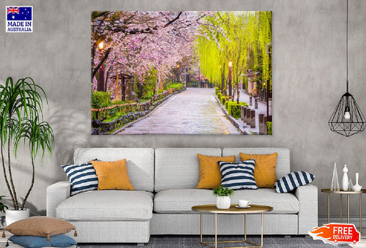 Trees on Gion Shirakawa Street Photograph Print 100% Australian Made