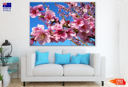 Pink Blossom Flowers Closeup Photograph Print 100% Australian Made