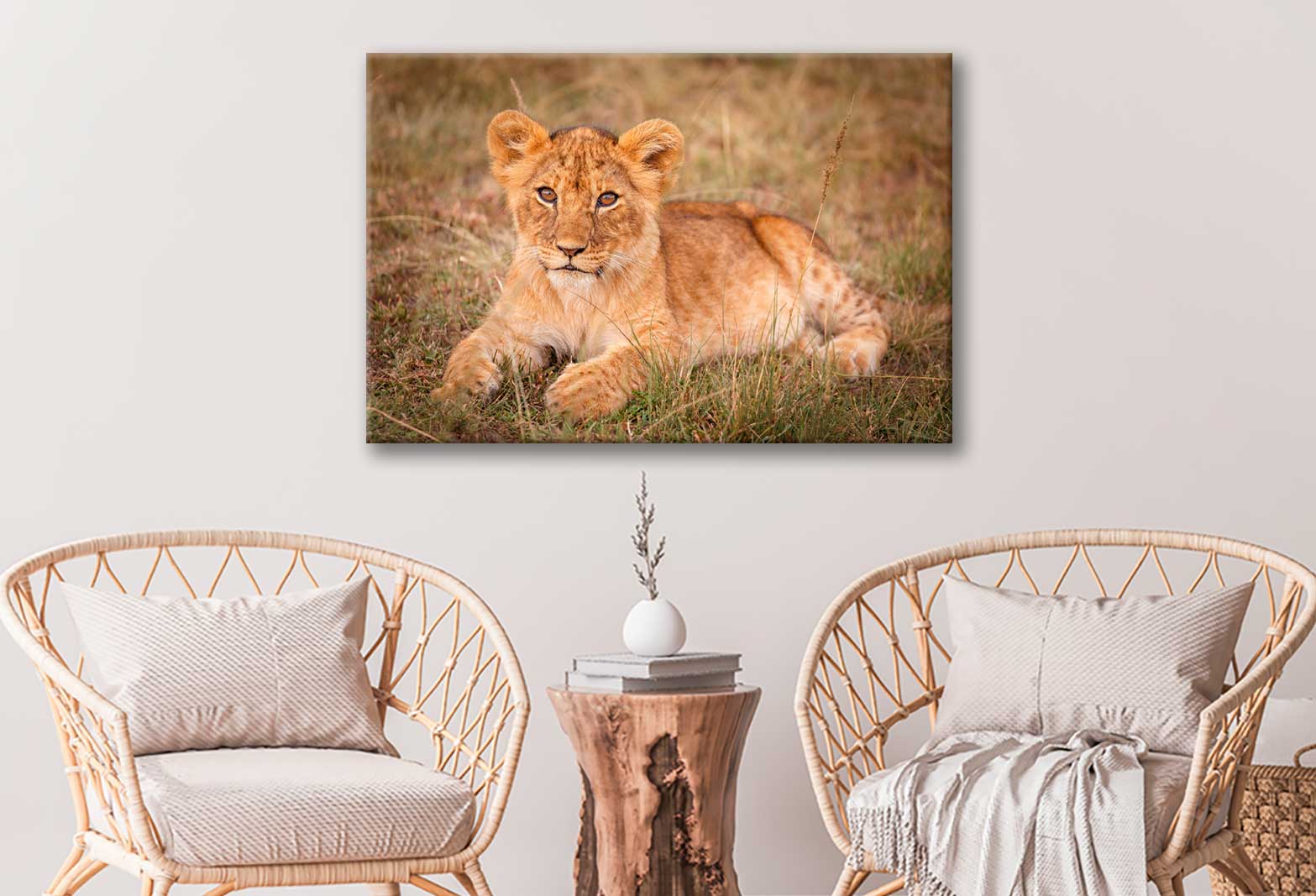 Bella Home Lions on The Masai Mara, Kenya Print Canvas Ready to hang