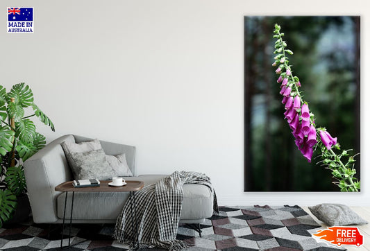 Foxglove Flower Closeup Photograph Print 100% Australian Made