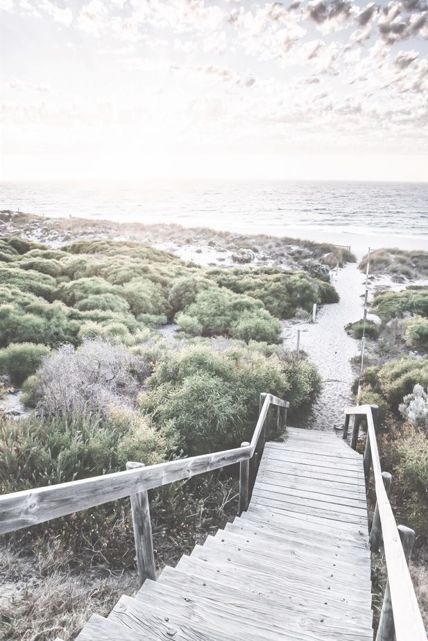 Wooden Steps to Sea Shore View Print 100% Australian Made