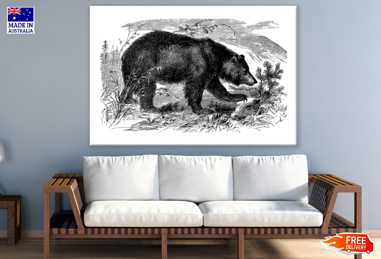 Bear B&W Art Design Print 100% Australian Made