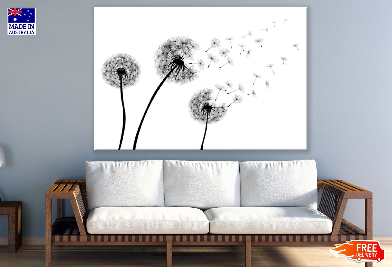 Dandelion with Flying Seeds B&W Photograph Print 100% Australian Made