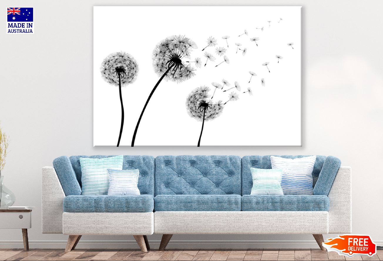 Dandelion with Flying Seeds B&W Photograph Print 100% Australian Made