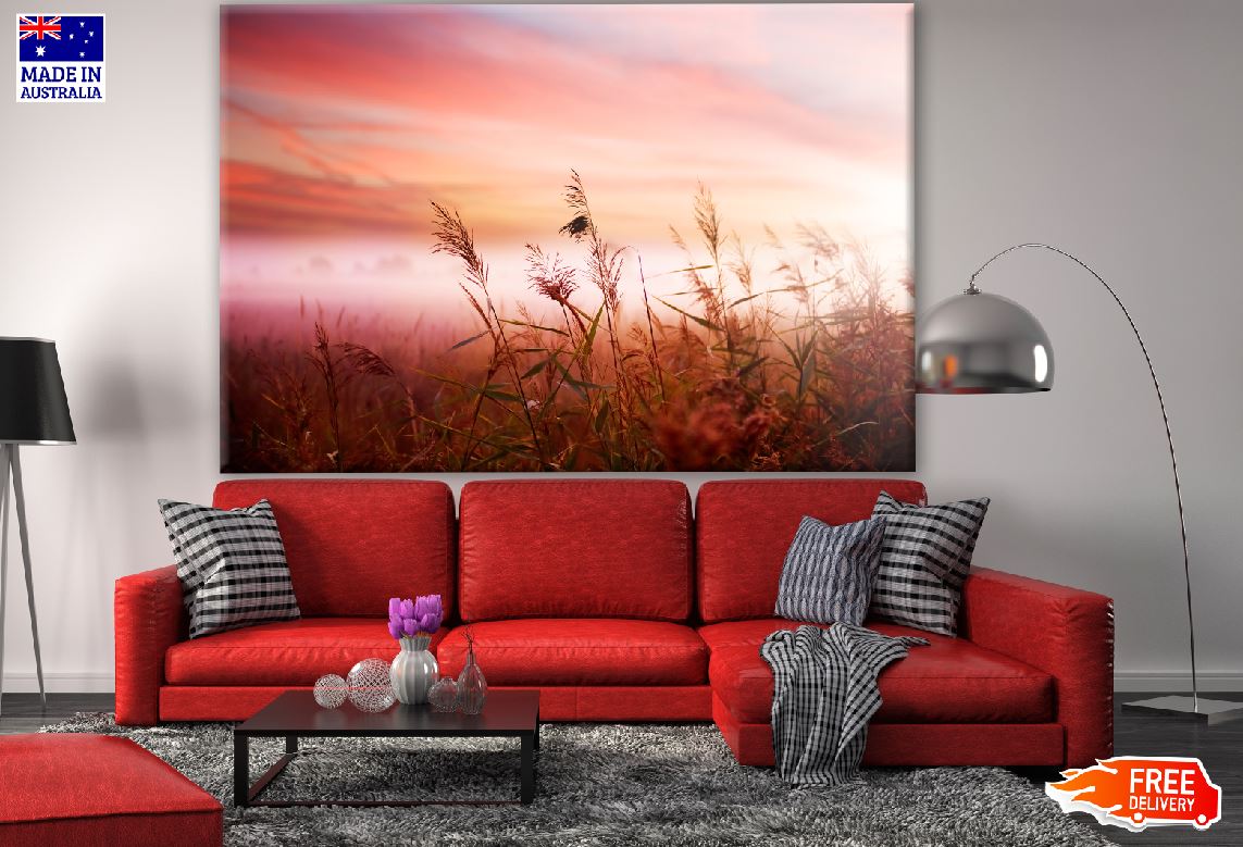 Grass Closeup Photograph at Sunset Print 100% Australian Made