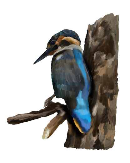 Kingfisher Bird Watercolor Painting Print 100% Australian Made