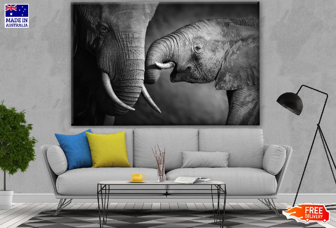 Elephant & Baby B&W Photograph Print 100% Australian Made