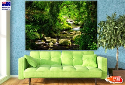 Stunning Deep Forest Photograph Print 100% Australian Made