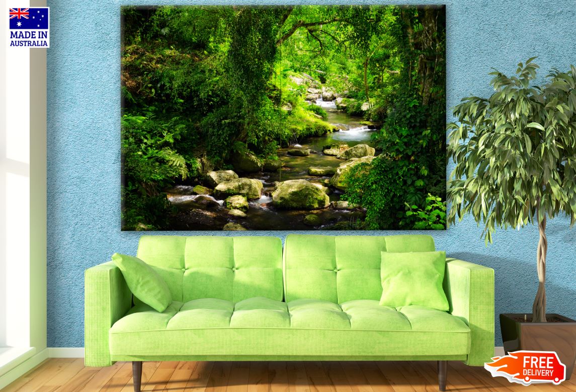 Deep Forest Photograph Print 100% Australian Made