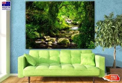 Deep Forest Photograph Print 100% Australian Made
