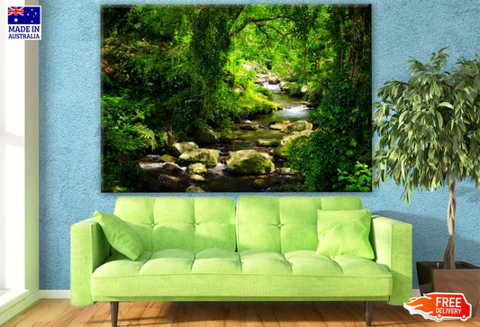 Deep Forest Photograph Print 100% Australian Made