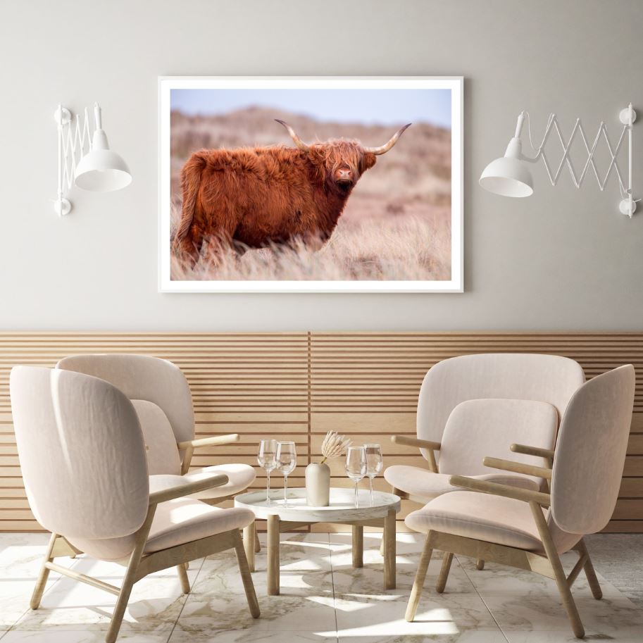 Highland Cow Closeup Photograph Home Decor Premium Quality Poster Print Choose Your Sizes