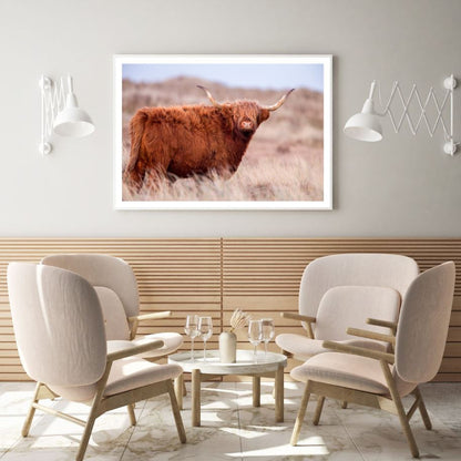 Highland Cow Closeup Photograph Home Decor Premium Quality Poster Print Choose Your Sizes