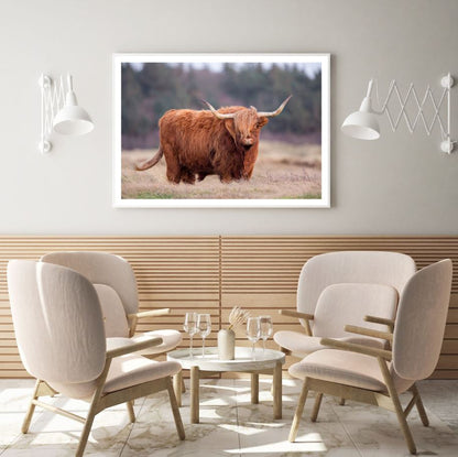Highland Cow Closeup Photograph Home Decor Premium Quality Poster Print Choose Your Sizes