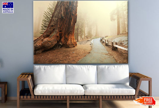 Road Near Tree Photograph Print 100% Australian Made